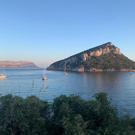 Appartamenti Le Primule Golfo Aranci Exterior photo